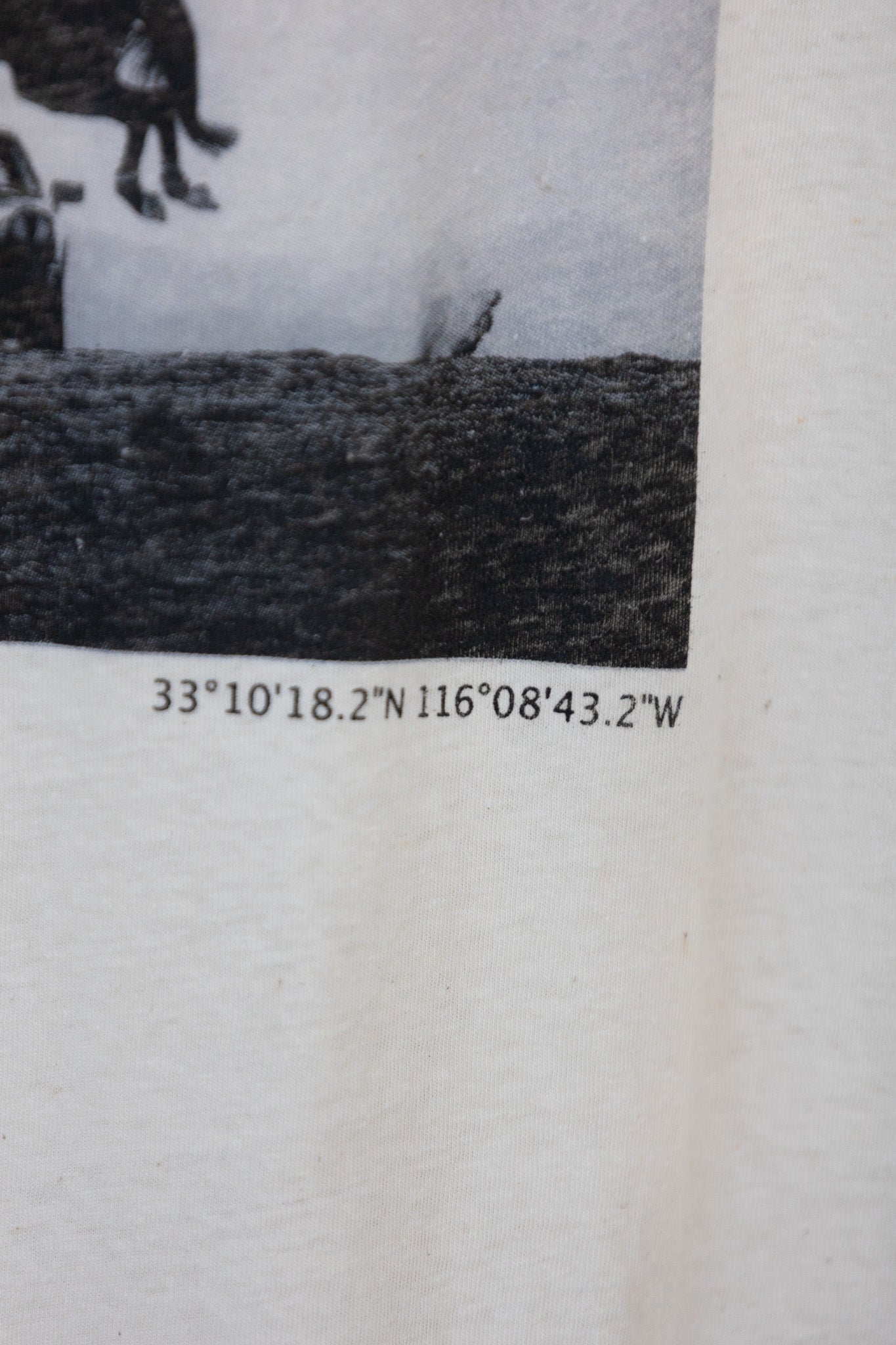 Horsche - Aaron Brimhall